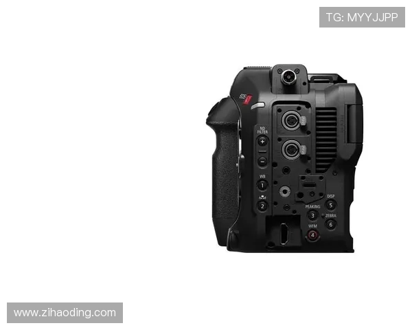 尊龙z6.com手机登录多设备同步登录功能介绍与使用技巧