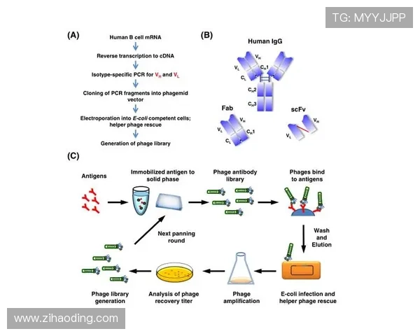 尊龙平台怎么样:平台的技术保障措施与用户数据保护策略 尊龙平台怎么样:平台的技术保障措施与用户数据保护策略