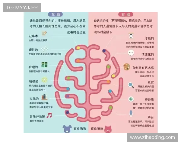 Z6人生:游戏中的策略布局如何启发你在现实生活中做出更明智的决策 Z6人生:游戏中的策略布局如何启发你在现实生活中做出更明智的决策